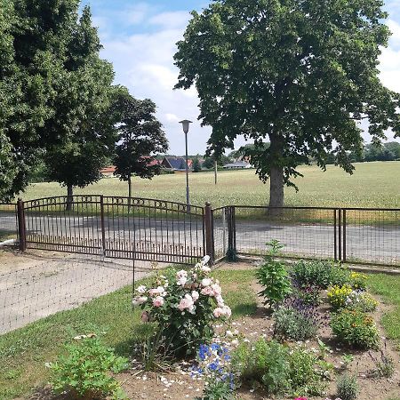 Ferienwohnung am Scheunenkaffee Kachlin Dargen Exterior foto
