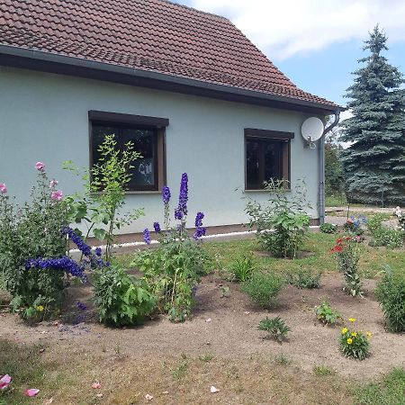 Ferienwohnung am Scheunenkaffee Kachlin Dargen Exterior foto