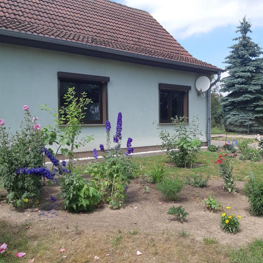 Ferienwohnung am Scheunenkaffee Kachlin Dargen Exterior foto